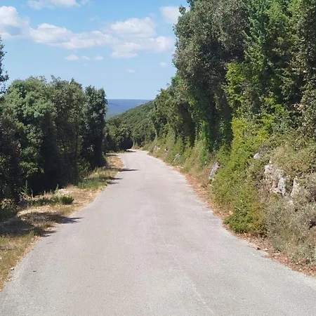 Hribar 2