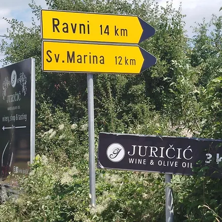 Hribar 2 Ravni